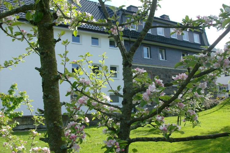 Ferienwohnung Appartment Schweinsberg (422111), Medelon, Sauerland, Nordrhein-Westfalen, Deutschland, Bild 4