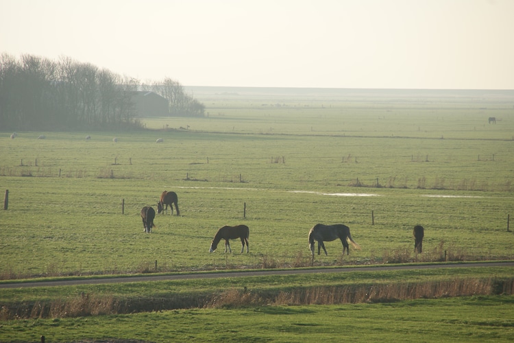 Ferienwohnung Skip Lodge (422159), Ballum, Ameland, Friesland, Niederlande, Bild 4