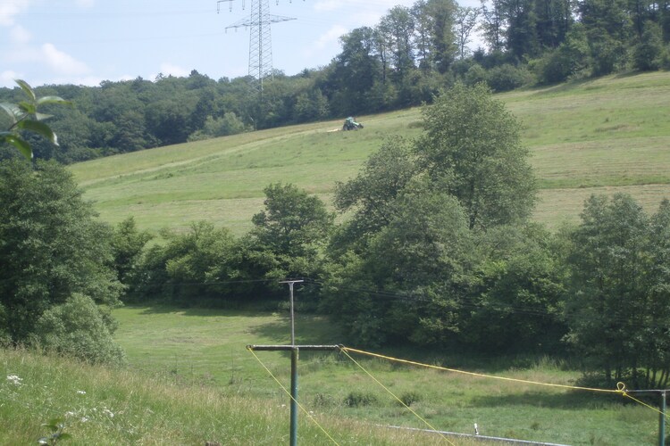 Ferienwohnung Ferienbauernhof Westerwald (423637), Katzwinkel, Westerwald, Rheinland-Pfalz, Deutschland, Bild 16