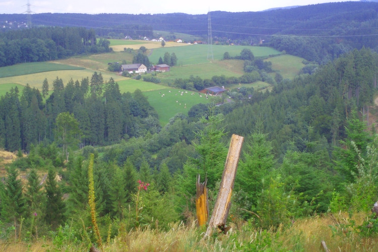 Ferienwohnung Ferienbauernhof Westerwald (423637), Katzwinkel, Westerwald, Rheinland-Pfalz, Deutschland, Bild 24