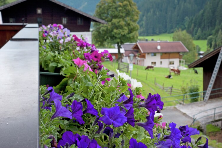Bründlinger - View - Summer