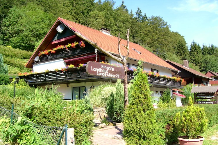 Ferienwohnung Wiese (426221), Kamschlacken, Harz (Niedersachsen), Niedersachsen, Deutschland, Bild 1