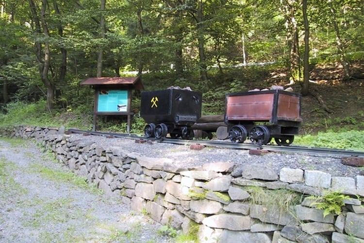 Ferienwohnung Wiese (426221), Kamschlacken, Harz (Niedersachsen), Niedersachsen, Deutschland, Bild 12