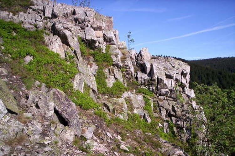 Ferienwohnung Wiese (426221), Kamschlacken, Harz (Niedersachsen), Niedersachsen, Deutschland, Bild 11