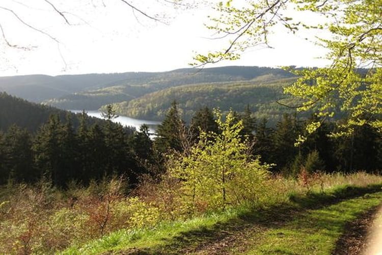 Ferienwohnung Wiese (426221), Kamschlacken, Harz (Niedersachsen), Niedersachsen, Deutschland, Bild 10