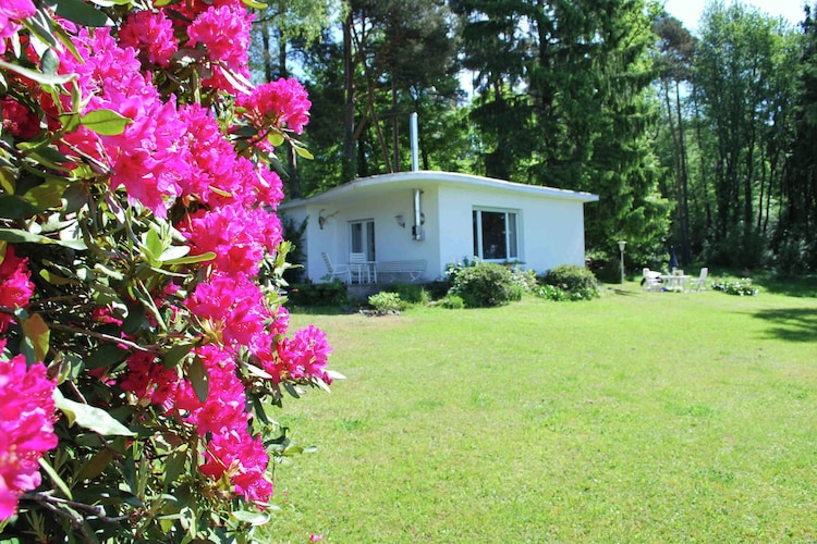Holiday home Westerwald