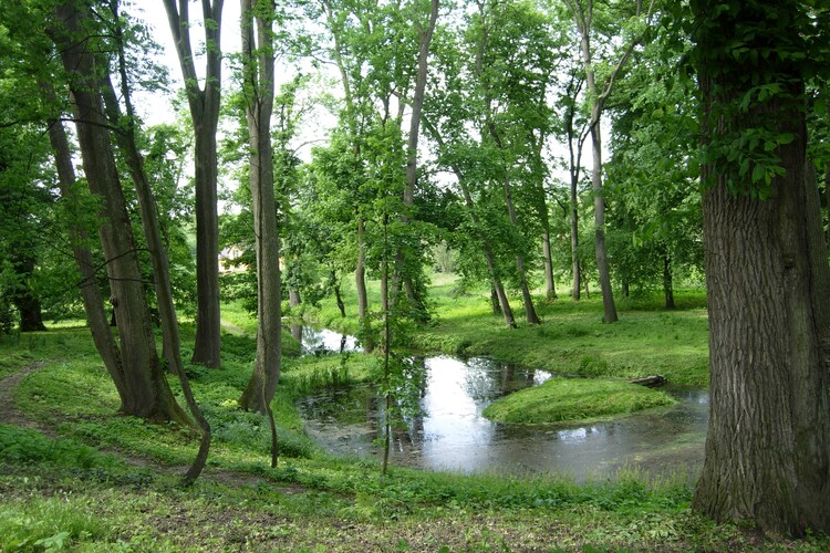Zwembad van vakantiehuis