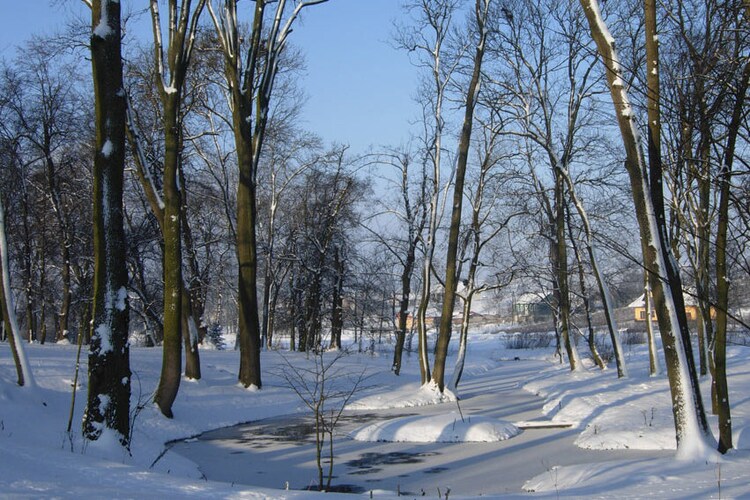Tuin (winter)