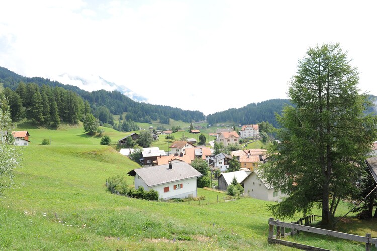 Ferienwohnung Axel (433519), Feldis/Veulden, Domleschg - Heinzenberg, Graubünden, Schweiz, Bild 18