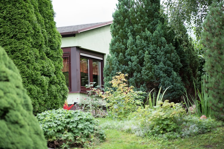 Ferienhaus Im Vogtland (433194), Möschwitz, Vogtland (Sachsen), Sachsen, Deutschland, Bild 2