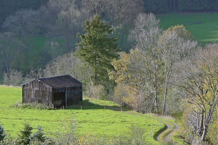 Ferienhaus Jacobs (465978), Burg-Reuland, Lüttich, Wallonien, Belgien, Bild 29