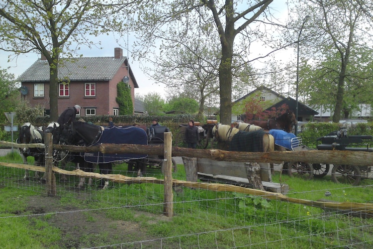 Ferienhaus Landhoeve buitenman (484881), Lage Mierde, , Nordbrabant, Niederlande, Bild 3