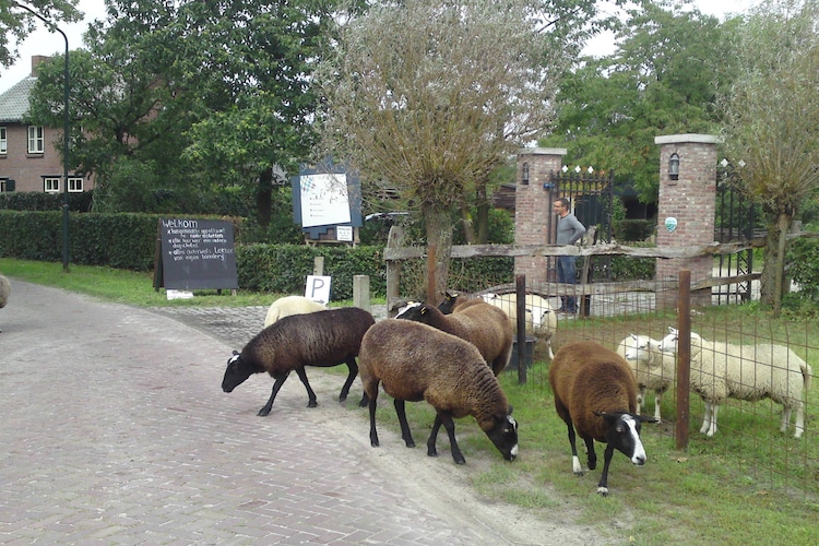 Ferienhaus Landhoeve buitenman (484881), Lage Mierde, , Nordbrabant, Niederlande, Bild 33