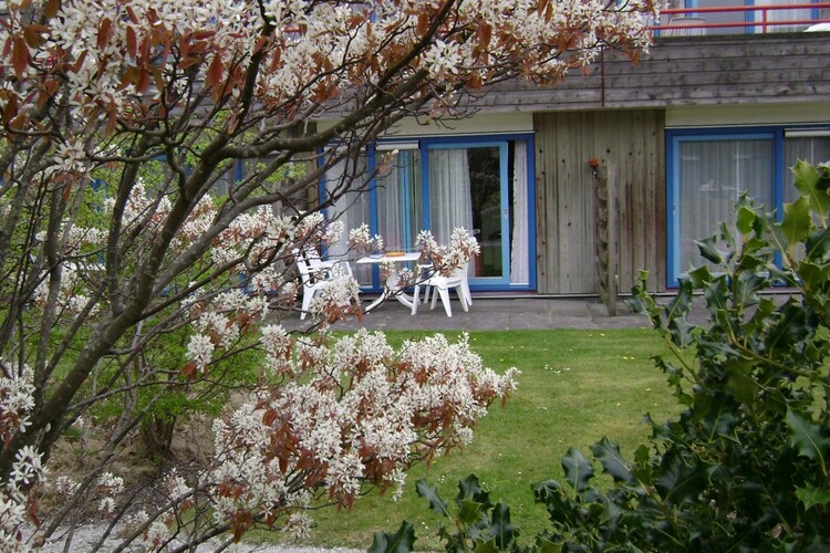 Ferienwohnung Zandlust (477347), Hollum, Ameland, Friesland, Niederlande, Bild 3