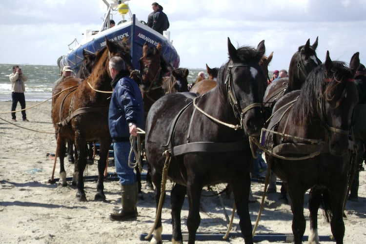 Ferienwohnung Zandlust (477347), Hollum, Ameland, Friesland, Niederlande, Bild 16