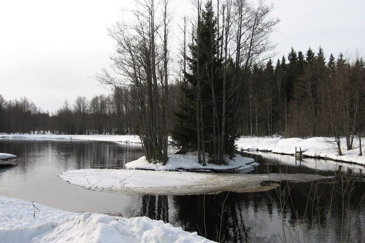Immediate Surroundings (winter) (<1 km)