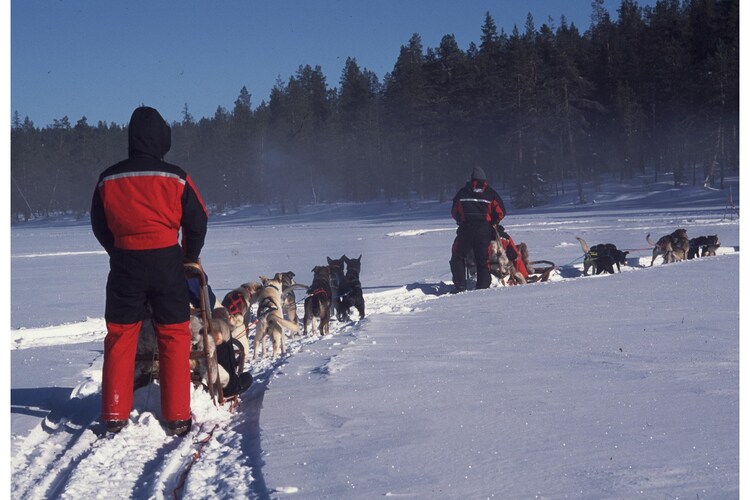 Region (winter) (>5 km)
