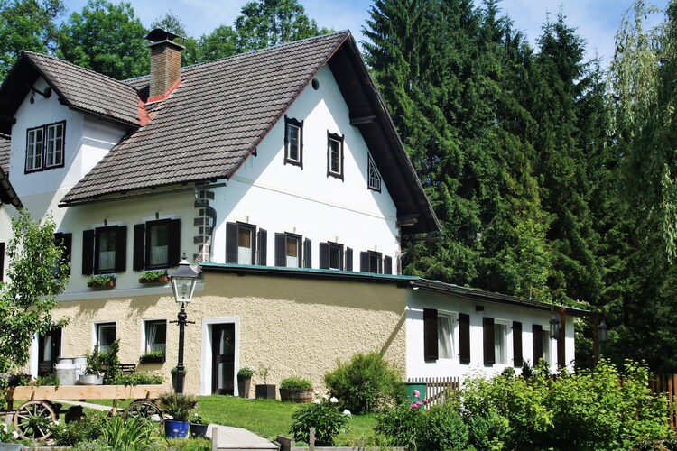 Bild 4 Bild 4