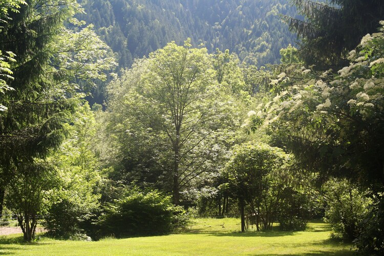 Bild 22 Bild 22