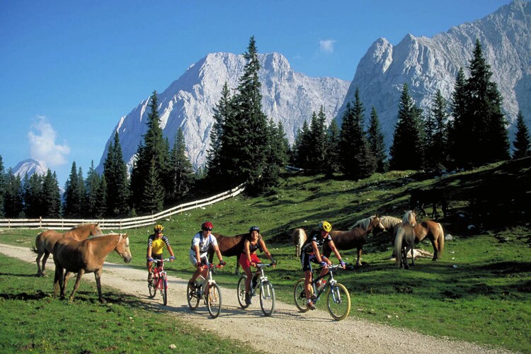 Ferienwohnung Zuntl (461298), Ehrwald, Tiroler Zugspitz Arena, Tirol, Österreich, Bild 27