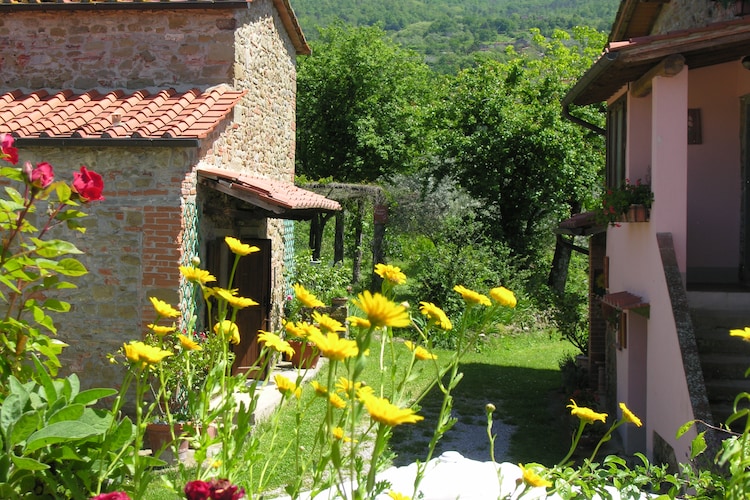 Farmhouse Tuscany Elba