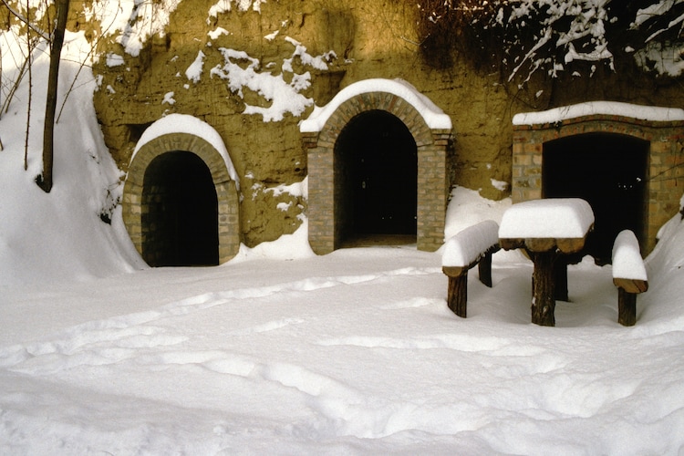 Immediate Surroundings (winter) (<1 km)