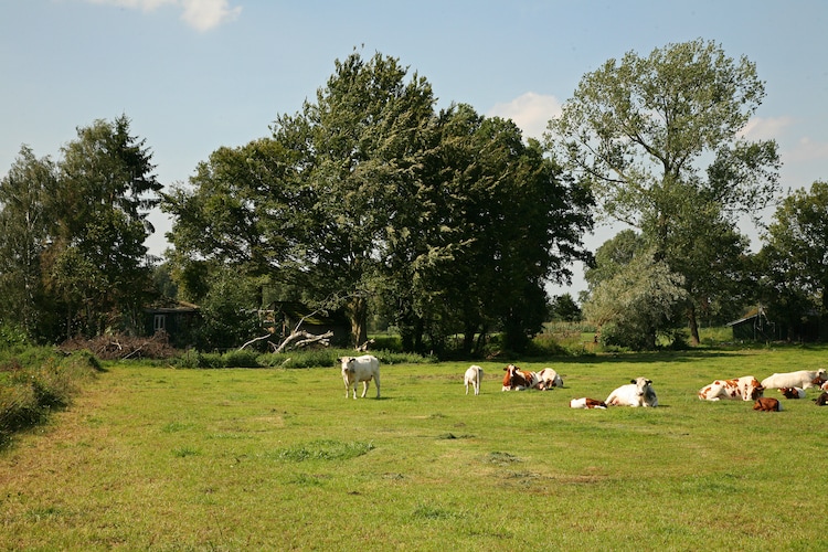 Ferienhaus De Grenswachter t Woonhuus en De Daele XL (477099), Aalten, , Gelderland, Niederlande, Bild 47