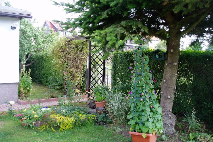 Ferienhaus Sellgraben (493195), Hasselfelde, Harz (Sachsen-Anhalt), Sachsen-Anhalt, Deutschland, Bild 5