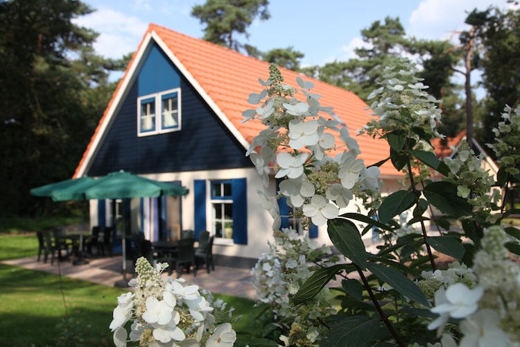 Holiday home Drenthe