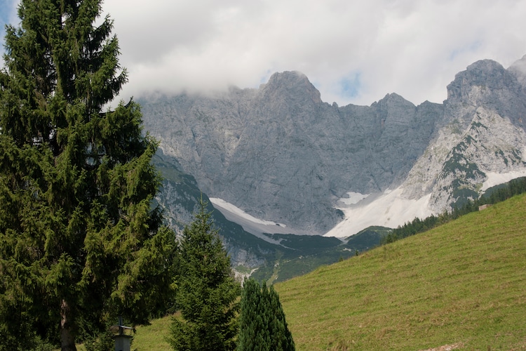 Haus Tirol - Area - Summer