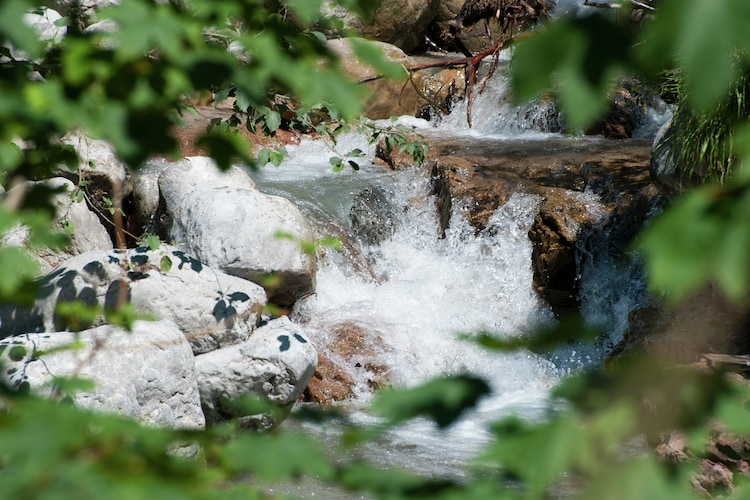 Haus Tirol - Area - Summer