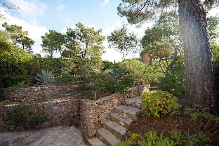 Ferienhaus Entre collines et plage (556686), Sainte Maxime, Côte d'Azur, Provence - Alpen - Côte d'Azur, Frankreich, Bild 4