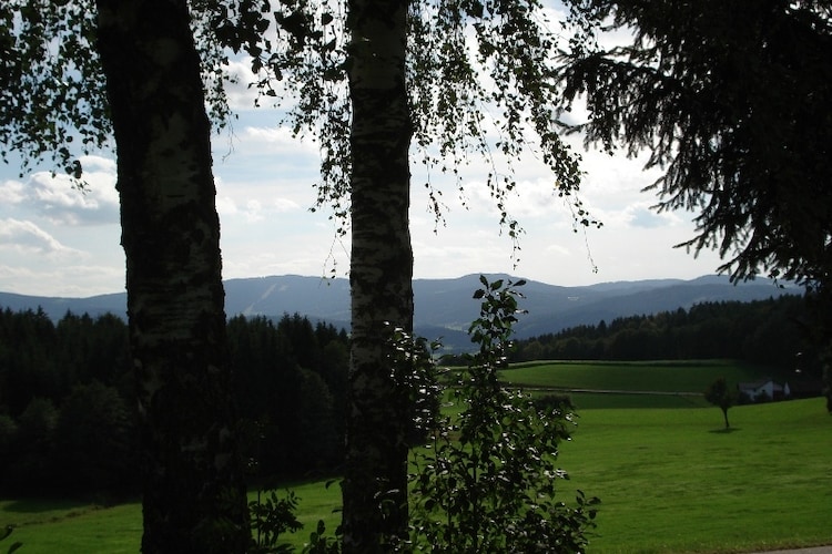 Ferienhaus Wiesing (495461), Viechtach, Bayerischer Wald, Bayern, Deutschland, Bild 19