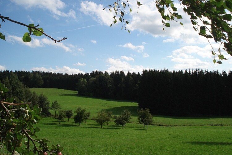 Ferienhaus Wiesing (495461), Viechtach, Bayerischer Wald, Bayern, Deutschland, Bild 17