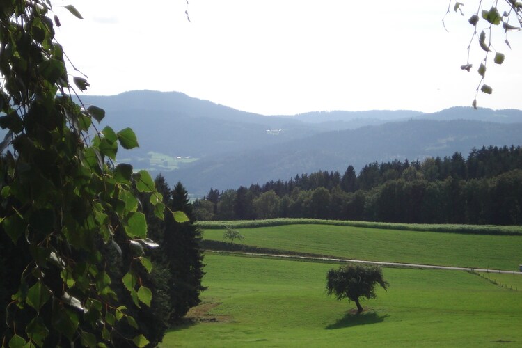 Ferienhaus Wiesing (495461), Viechtach, Bayerischer Wald, Bayern, Deutschland, Bild 21