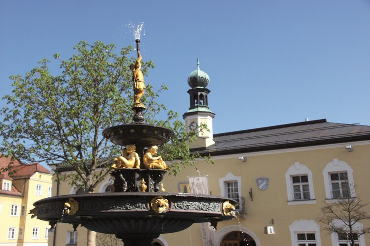 Ferienhaus Wiesing (495461), Viechtach, Bayerischer Wald, Bayern, Deutschland, Bild 34