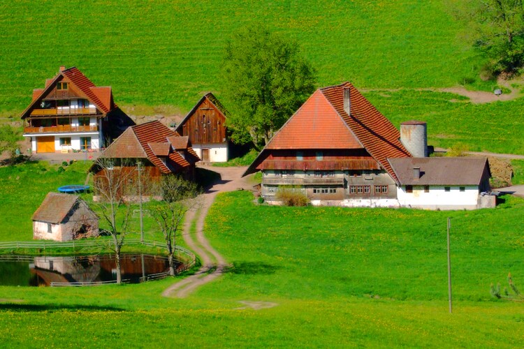Holiday home Black Forest