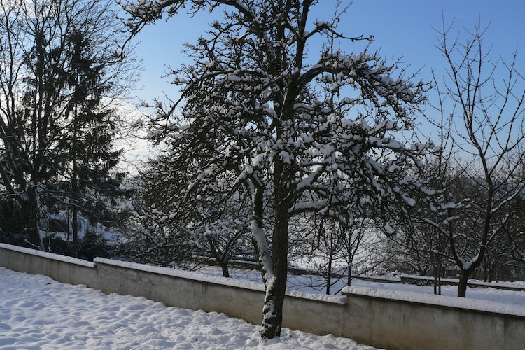 La Ferme des choucas - Aisey-et-Richecourt