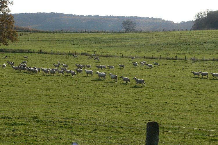 La Ferme des choucas - Area - Summer