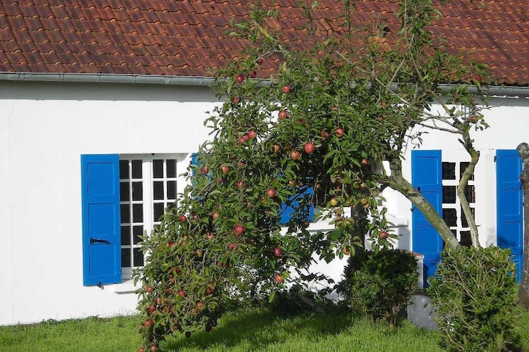 Cottage Nord Street of Dover Picardy