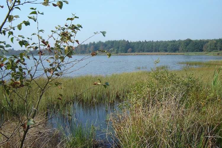 Ferienwohnung Oud Bergveen (615976), Veenhuizen, , Drenthe, Niederlande, Bild 18