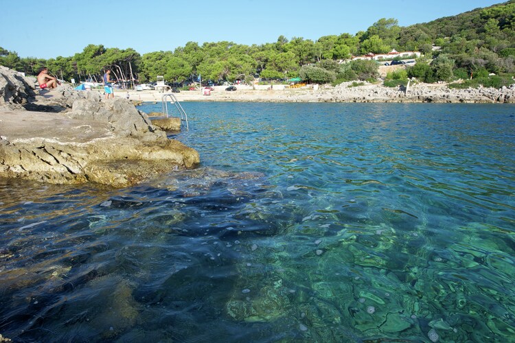 Maison de vacances Village Poljana (599704), Mali Losinj, Île de Losinj, Kvarner, Croatie, image 5