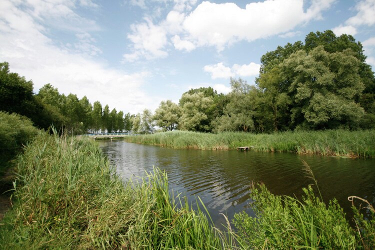 Ferienwohnung Recreatiecentrum De Biesbosch (618128), Willemsdorp, , Südholland, Niederlande, Bild 38