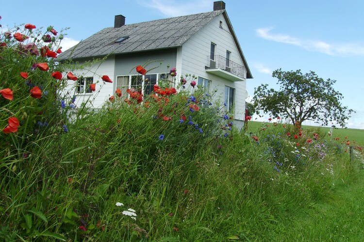 Holiday home Eifel