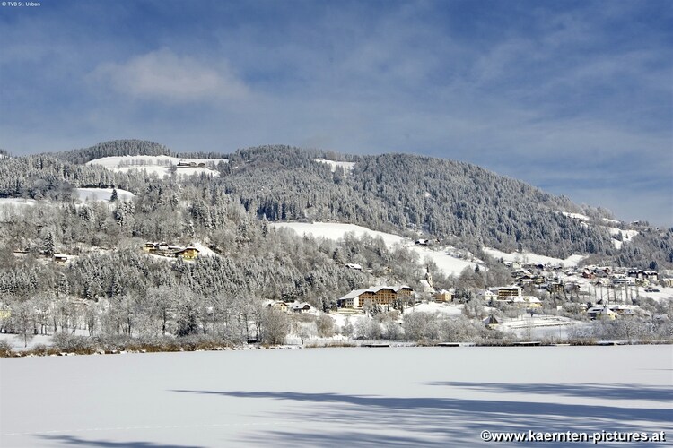 Ferienhaus Simonhöhe (629630), St. Urban, , Kärnten, Österreich, Bild 24