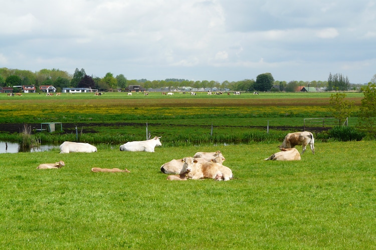 Ferienhaus Chaletpark de Visotter (648369), Woerdense Verlaat, , Südholland, Niederlande, Bild 32