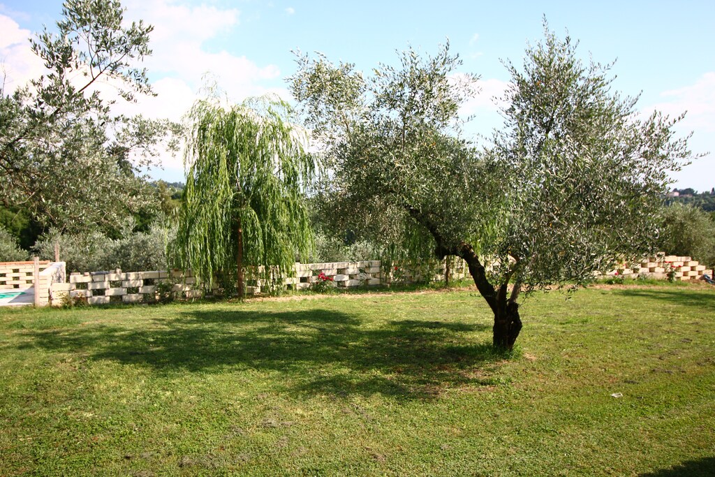 Picture of property.name