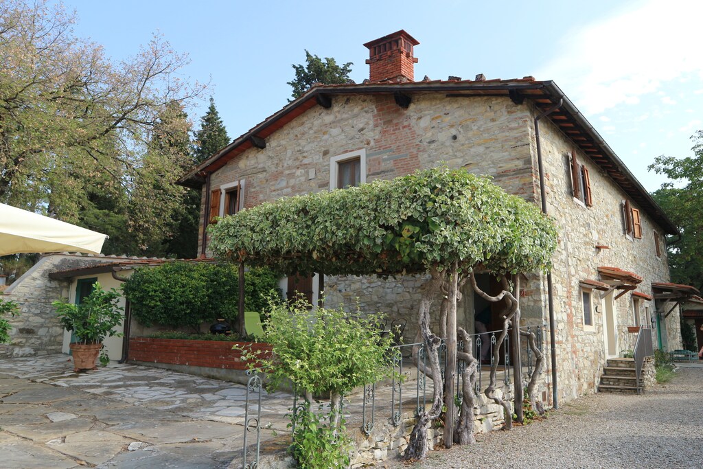 Aia - Pelago
