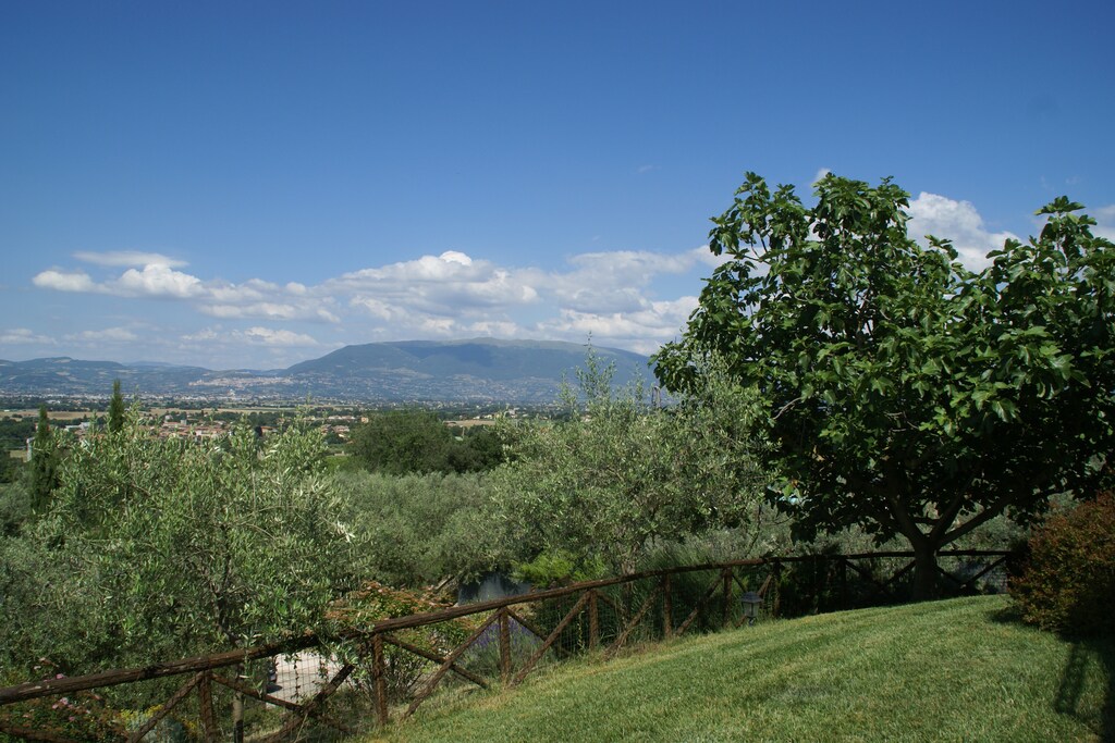 Picture of property.name
