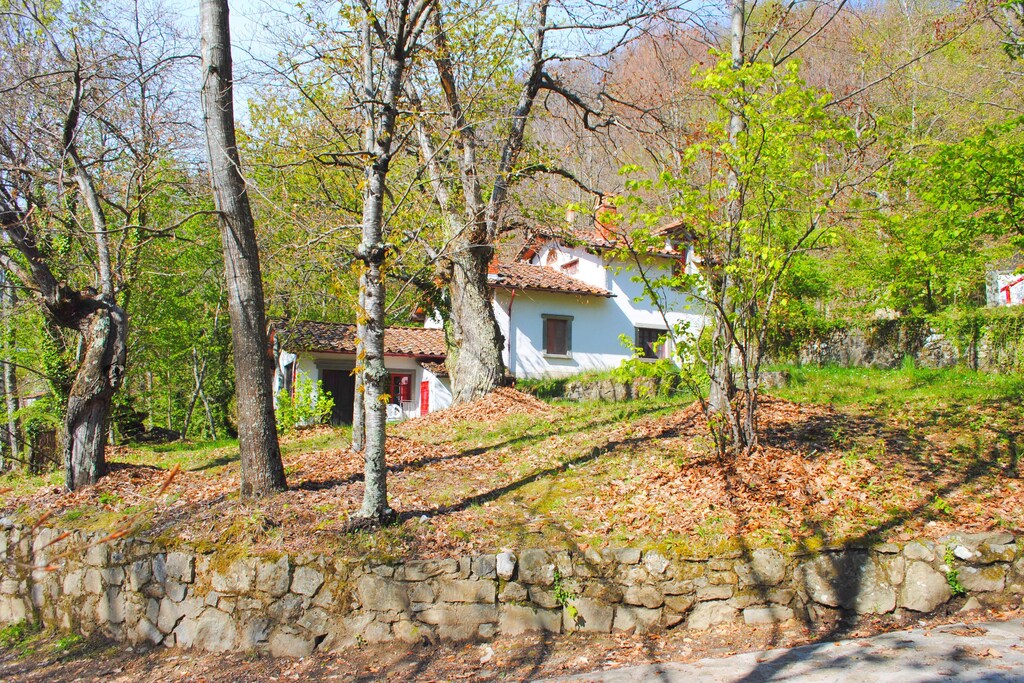 Picture of property.name